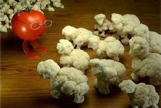 Le professeur tomate et ses petits moutons choufleurs