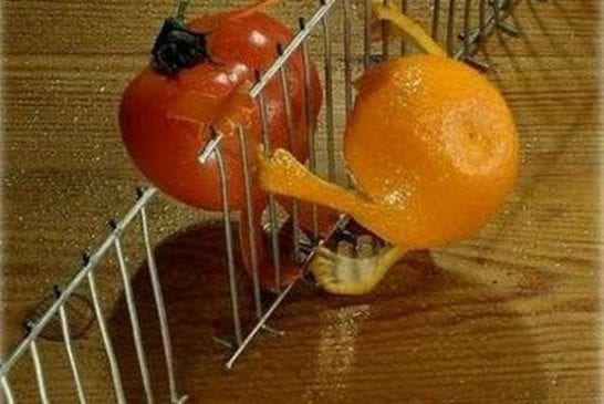 Tomate et orange sont séparés par une barrière