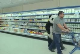 Ne jamais dire non à un panda