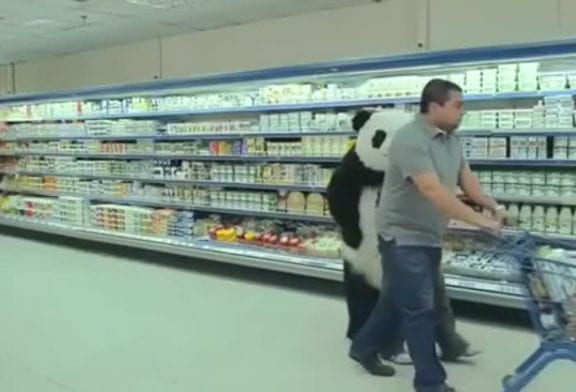 Ne jamais dire non à un panda