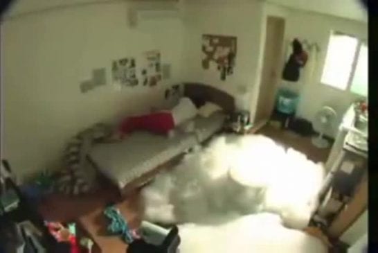 Blague chambre à bulles
