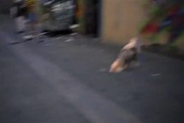The Glitch
