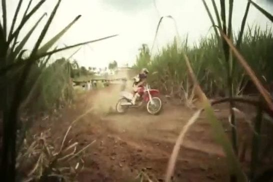 Motocross Race Through A Sugarcane Field Red Bull Cross