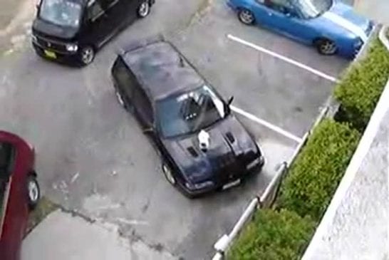 Degage de ma voiture