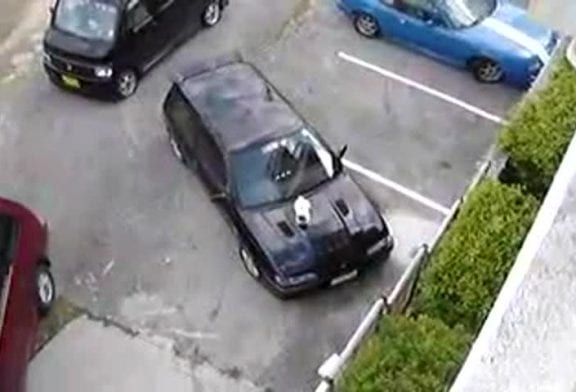 Degage de ma voiture