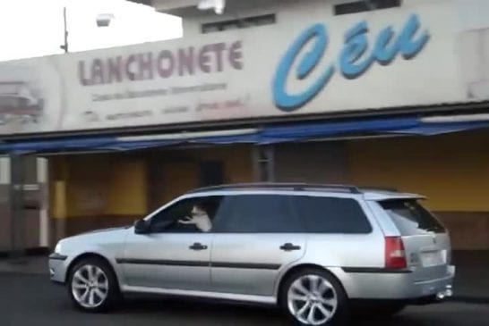 Dorgas larguei agora sou motorista
