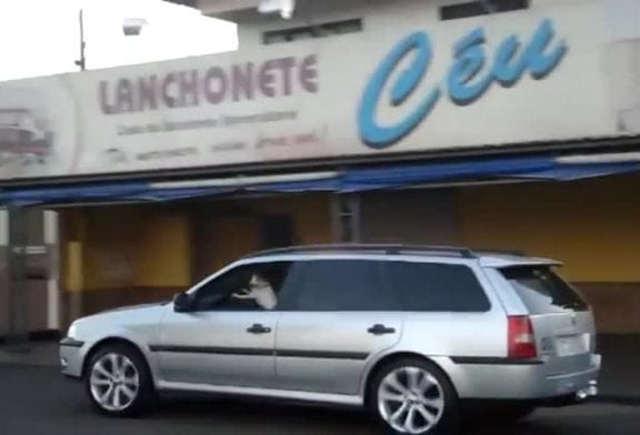 Dorgas larguei agora sou motorista