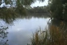 Enormepoissonmangecanard