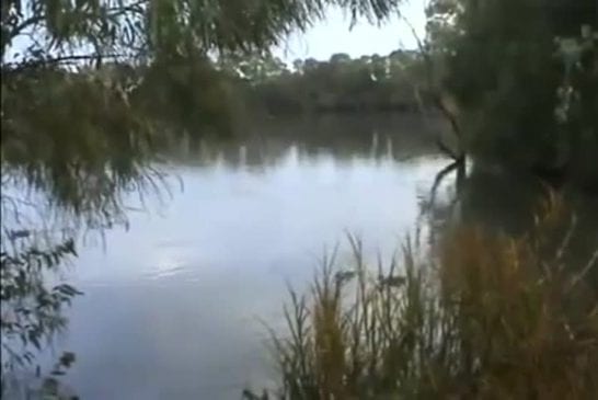 Enormepoissonmangecanard