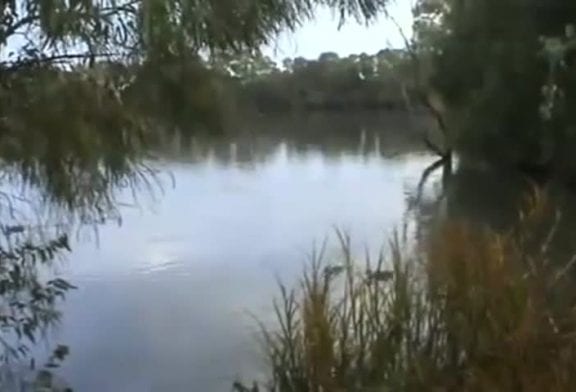 Enormepoissonmangecanard