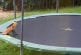 Renard sautant sur mon trampoline