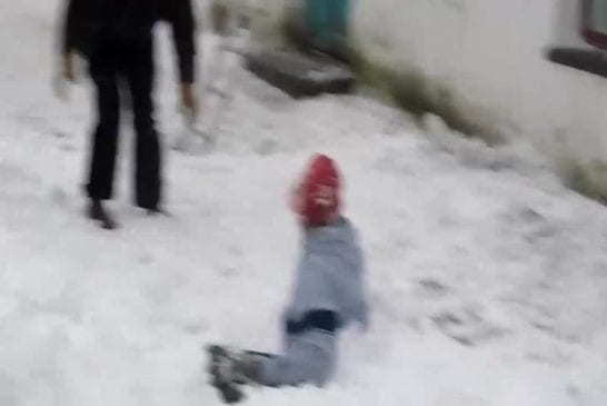 Il chute lourdement de son toit