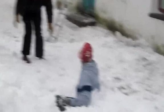 Il chute lourdement de son toit