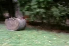 Moritz denkt er kann fliegen d