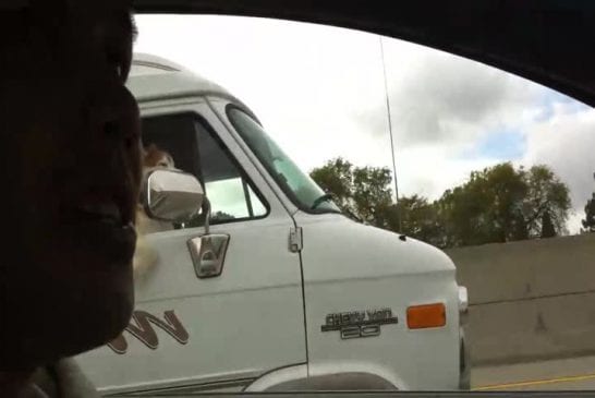 Shotgun dog cute dog riding in passenger seat