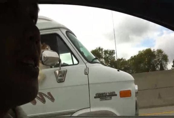 Shotgun dog cute dog riding in passenger seat