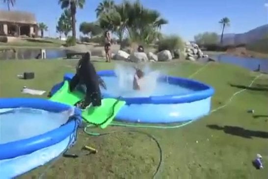 Fille qui perd son maillot de bain lors d un d fi stupide vi