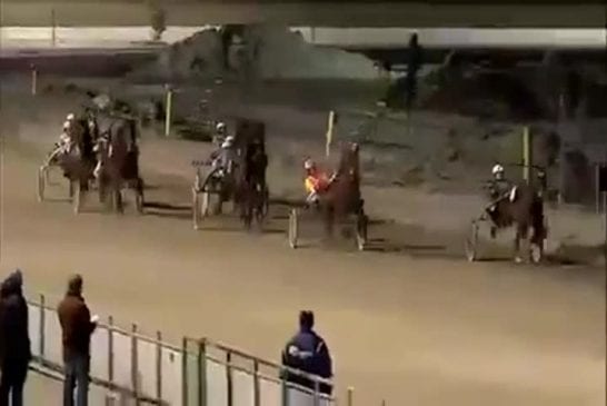 Pris en flagrant délit sur un hippodrome en train de faire l’amour