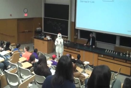 Somebody in a chicken suit