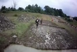 Amis sont impressionnants