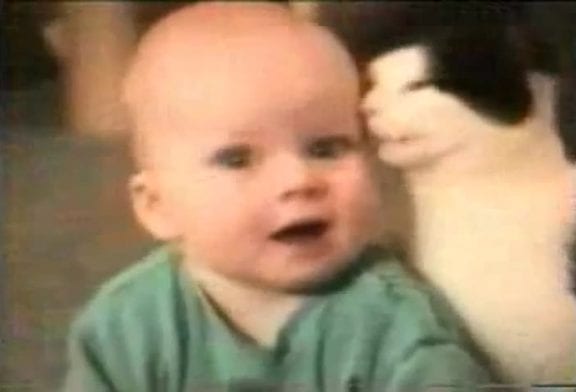 Chats compilation