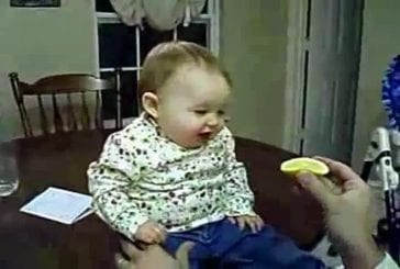 Bébé mange un citron aigre