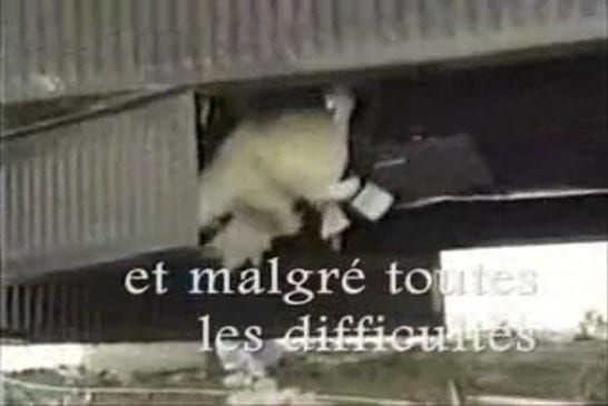 Video Humour 2013 numero 55