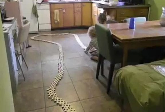 Jeu de dominos qui s'envolent
