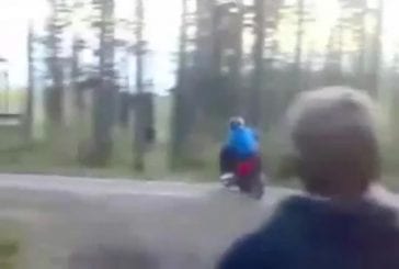 Accident de scooter arbre