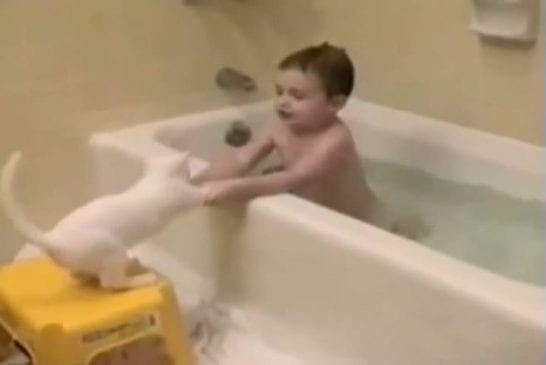 Cet enfant fait prendre un bain à son chat