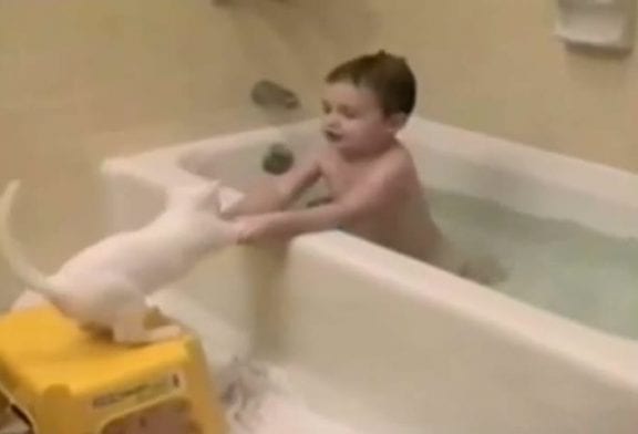 Cet enfant fait prendre un bain à son chat