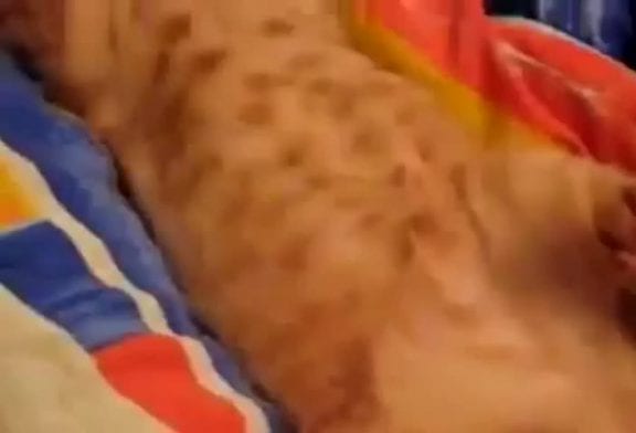 Chat endormi déteste la lumière du matin