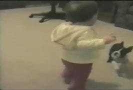 Un chien empêche un bébé de marcher