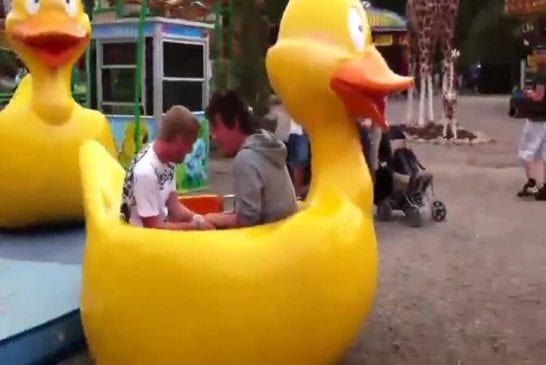 Accident de canard dans un parc d'attraction