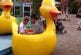 Accident de canard dans un parc d'attraction