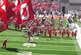 Mascottes de l'Ohio se battent avant le match