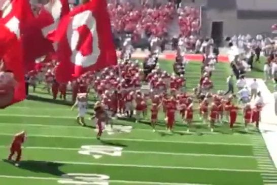 Mascottes de l'Ohio se battent avant le match