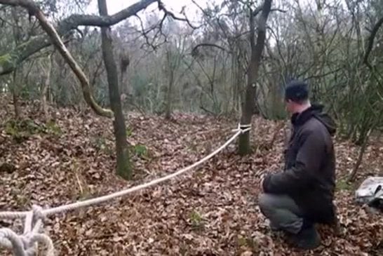 Chien fait l’équilibriste sur une corde