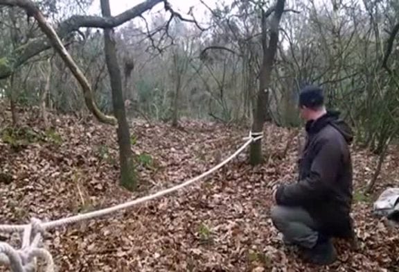 Chien fait l’équilibriste sur une corde