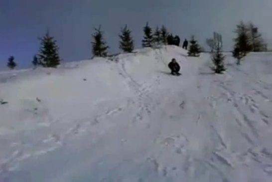 Chute de luge dans une clôture