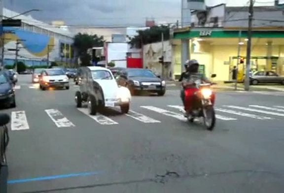 La moitié d’une coccinelle