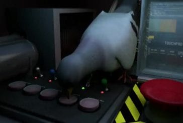 Pigeon impossible