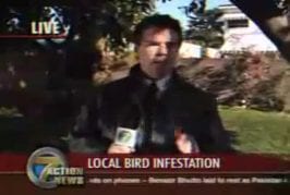 Journaliste malchanceux