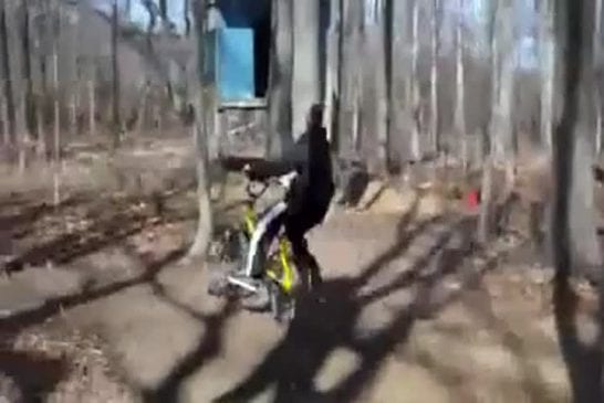 Jeune cycliste fonce dans un arbre