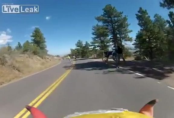 Cerf fonce sur un skateboarder lancé à plus de 75km/h