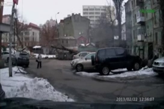 Femme évite de justesse la chute d'un arbre