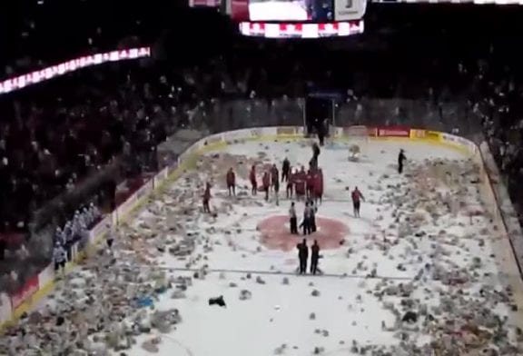 Terrain de Hockey sur glace recouvert de nounours