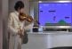 Violoniste professionnel interprète en live Mario Bross