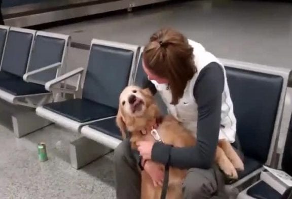 Chien excité de revoir sa maitresse qui revient d’Afghanistan
