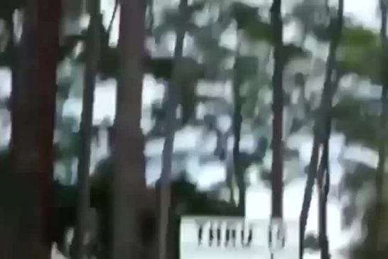 Ricochets sur l'eau et directement dans le trou de golf